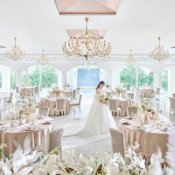 《純白のトレンド会場体験*》憧れドレス特典×NEW演出×絶品試食の詳細を見る