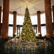 Westinで叶える贅沢Xmas【モダンヨーロピアン×スイーツ試食】豪華成約特典