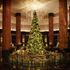 Westinで叶える贅沢Xmas×フィレステーキロッシーニ&Jazz生演奏のイメージ