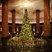 残1|Westinで叶える贅沢Xmas×フィレステーキロッシーニ&Jazz生演奏