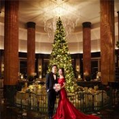 残▲Westinで叶える贅沢Xmas|モダンヨーロピアン×スイーツ試食&豪華特典