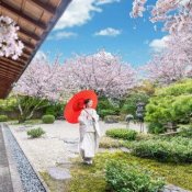 ＼新春BIG＊26大お年玉特典／1日1組貸切×近江牛＆イセ海老試食の詳細を見る