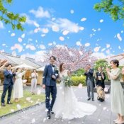 \桜満開の庭園見学/和も洋も叶う×25大138万特典&贅沢試食