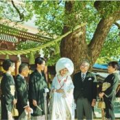 【初見学でも安心】伝統的な明治神宮挙式体験×花嫁和装試着