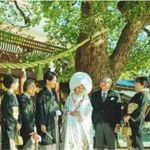 【初見学でも安心】伝統的な明治神宮挙式体験×花嫁和装試着