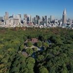 【明治神宮の杜を体感】伝統的な神前式体験×神社婚相談会×レストラン食事券付フェア
