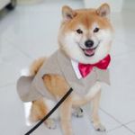 《ペット婚》＊家族で貸切リゾートウエディング＊贅沢試食付き！