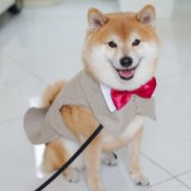 《ペット婚》*家族で貸切リゾートウエディング*贅沢試食付き!