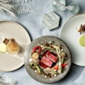 【豪華試食★待望のリニューアル】170万特典×リゾートWDを体感