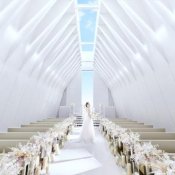 ＼よくばり★最大210万優待／花嫁ALL体験×ドレス体験×試食