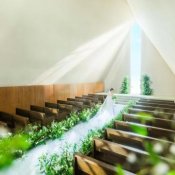 直前◎【お盆BIG*帰省費特別優待】緑溢れる貸切邸宅で絶品試食×ドレス見学