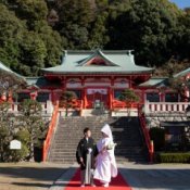 【和装で叶える神前式】神社で叶う和婚相談会×無料試食