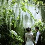 【アマギフ2万円&豪華試食付き】四季彩る雄大な自然を満喫！植物園ウェディング