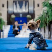 【大切なペットと挙式&披露宴どちらもOK】ペット婚*安心相談会