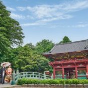 【本格儀式殿ツアー】庭園*本格神前式×絶景披露宴×美食フェア