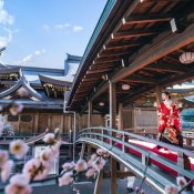 残3！あこがれ和装で挙式！【組数限定！】神社紹介×無料試食×なんでも相談会