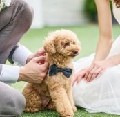 《ペットと叶える結婚式》1組貸切オリジナルW×安心相談会*QUO付