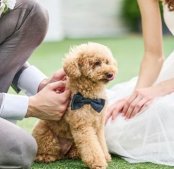 【ペット婚フェア】◆館内どこでもペットと一緒に過ごす結婚式◆