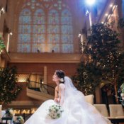 【まだ間に合う!2月・3月限定!】フォト+食事会を上質に