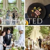 【8月最初のBIGフェア】ドレス30万特典＆最大170万特典＊試食付の詳細を見る