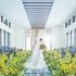 【水×光】選べる2つのチャペルで感動体験×ドレス見学で結婚式まるごと相談のイメージ