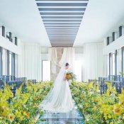 【水×光】選べる2つのチャペルで感動体験×ドレス見学で結婚式まるごと相談