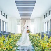 【水×光】選べる2つのチャペルで感動体験×ドレス見学で結婚式まるごと相談の詳細を見る
