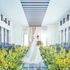 【水×光】選べる2つのチャペルで感動体験×ドレス見学で結婚式まるごと相談のイメージ