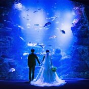 京都水族館ウェディング相談会★ミシュラン監修コース無料試食