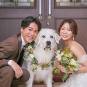 【ペット婚限定】おやつプレゼント×ペット同席OK×演出体験!