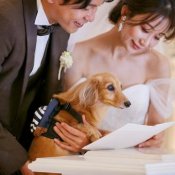 【ペット婚】待て7秒できたら会場費×挙式料プレゼント!