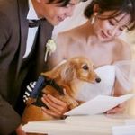 【ペットWDならお任せ♪】経験豊富なスタッフが安心サポート！大人気肉球スタンプも
