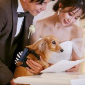 【ペットWDならお任せ】経験豊富なスタッフが安心サポート!大人気肉球スタンプも♪