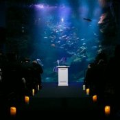 【憧れの場所で】サンガスタジアムor京都水族館で叶えるウェディング♪の詳細を見る