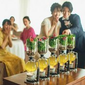 連休*大人花嫁へお勧め\光と余韻×美食婚/豪華20大特典4万試食