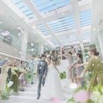 初めて見学なら＼最大120万特典！／新作ドレス紹介×全天候型で満足度◎