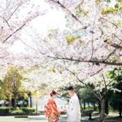 姫路城×好古園/桜◆ロケーションフォトウエディングフェアの詳細を見る