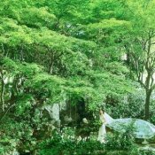 【秋の3連休BIGフェア】緑と光の貸切一軒家&贅沢コース試食