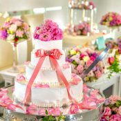 【117会員様】限定ギフト付き◆プライベートW×クルージング見学×スイーツ試食