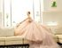【卒花人気No1】プレミアムスイーツ15品×ドレス体験のイメージ