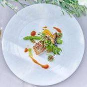 【料理重視の方に◎】ゲスト高評価96％獲得◆絶品ハーフコース美食