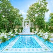 【初見学おすすめ】専属プランナー相談会×トレンドドレス紹介♪