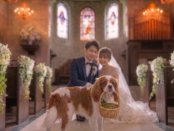 【ペット婚人気NO.1】愛犬と誓うリングドッグ演出*最大15大特典付き