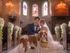 【ペット婚人気NO.1】愛犬と誓うリングドッグ演出*最大15大特典付きのイメージ