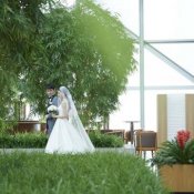 期間限定ご優待<26年3~5月>ウエディングご相談会