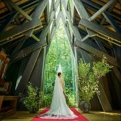 緑・光・風を感じる天然木のチャペルで感動体験×最大145万特典の詳細を見る