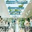 限定◆挙式料全額プレゼント◆花火券×豪華6万ギフト×4万試食