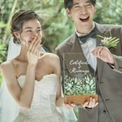 祝日SP\選べる2つの貸切邸宅ツアー/豪華150万優待&和牛2万試食