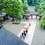 【ギフト5000円× 無料試食付】大國魂神社結婚式フェア
