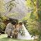 【愛犬と叶える結婚式】ペット婚まるわかり相談会＆ALL体験